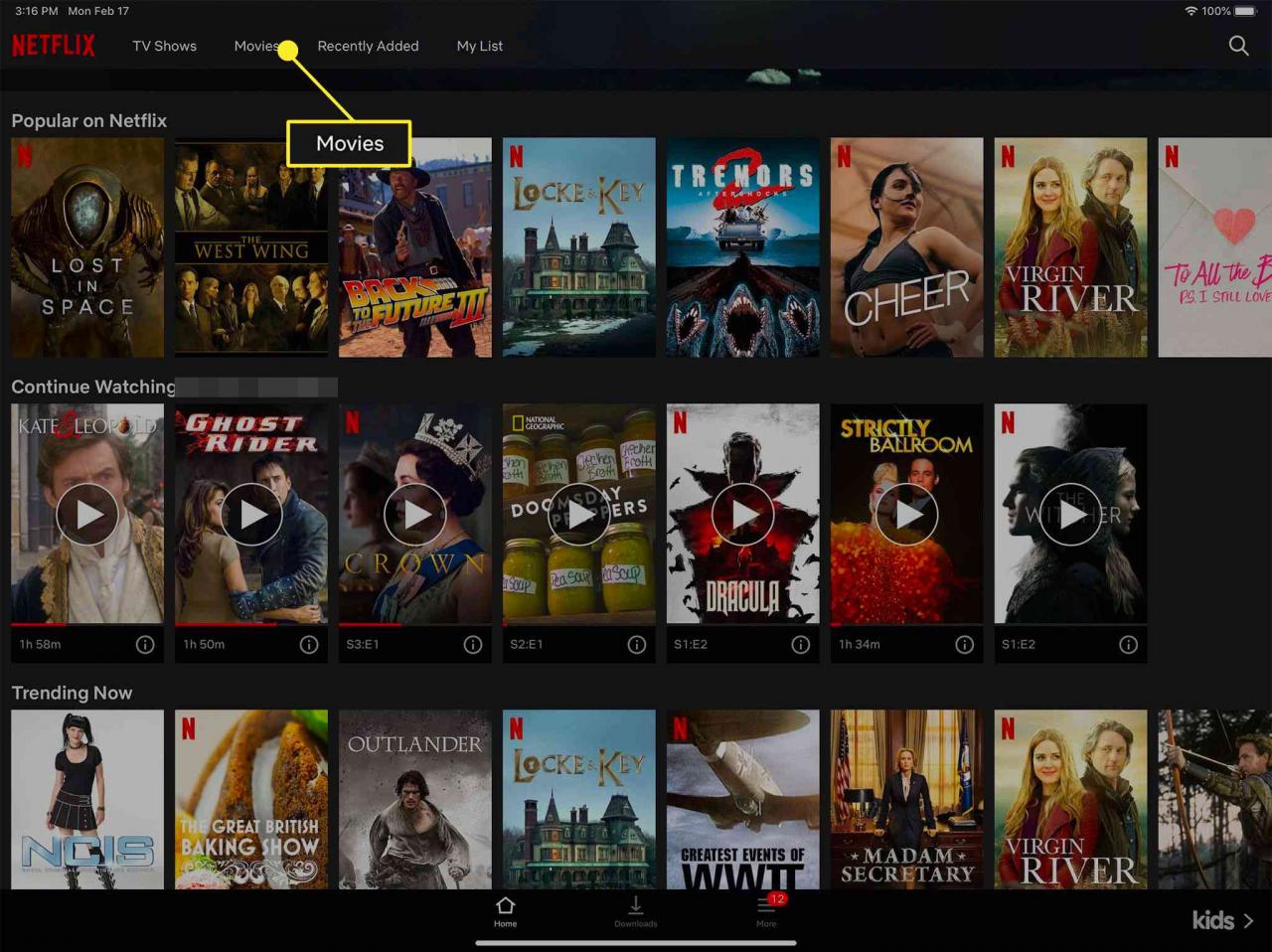 how to download a movie from netflix on my laptop